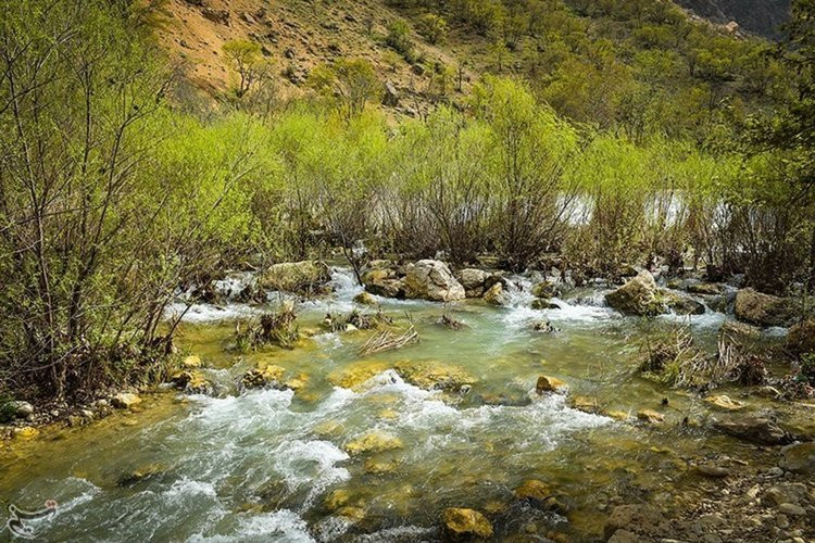 عکس بهشت گمشده