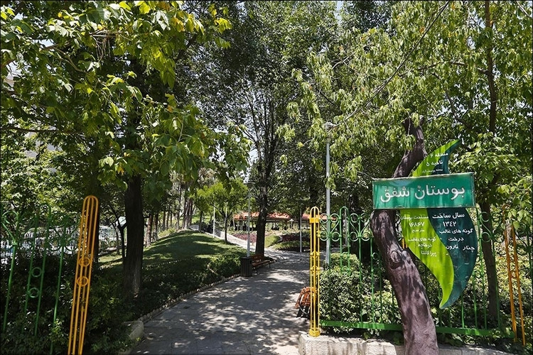 عکس بوستان شفق