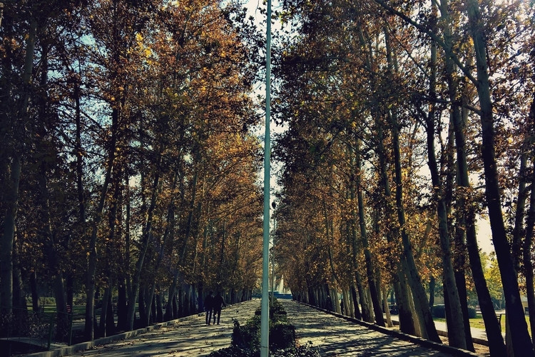 عکس بوستان قائم