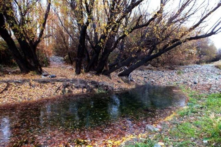 عکس بوستان ملی خجیر