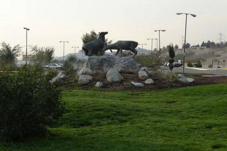 عکس بوستان پردیسان