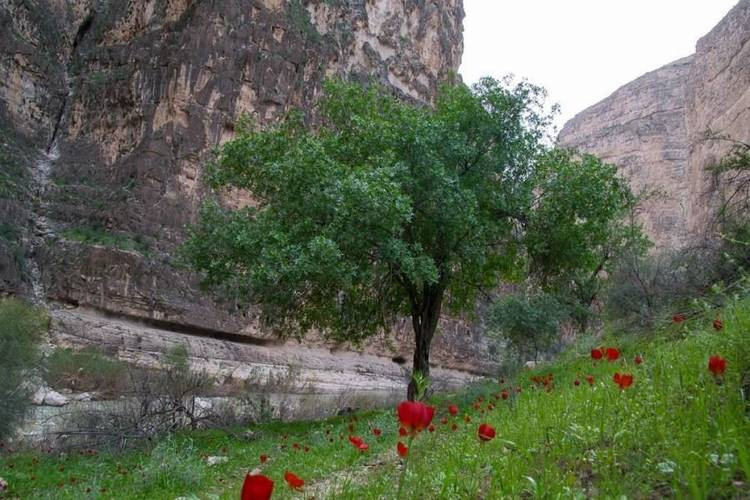 عکس تنگه هایقر فیروز آباد
