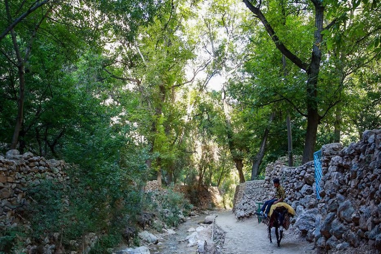 عکس روستای جاغرق مشهد
