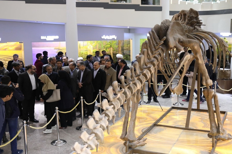عکس موزه علوم زمین
